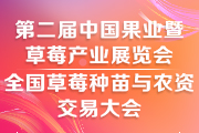 2025第二屆中國(guó)合肥果業(yè)暨草莓產(chǎn)業(yè)展覽會(huì)|全國(guó)草莓種苗與農(nóng)資交易大會(huì)